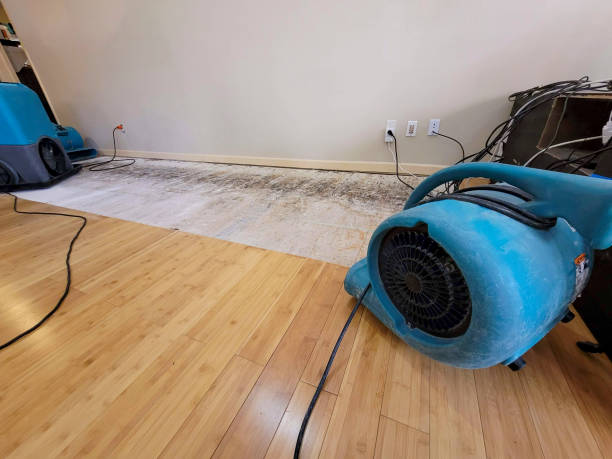 Professional Structural Drying technician working in Bellevue, PA